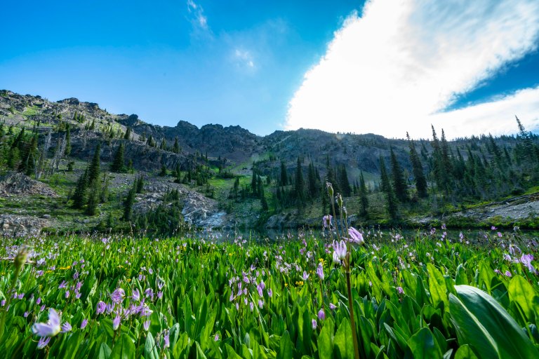 David BeckMcCallDSC06528