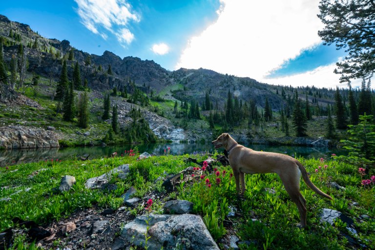 David BeckMcCallDSC06533