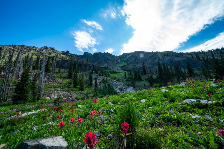 David BeckMcCallDSC06535