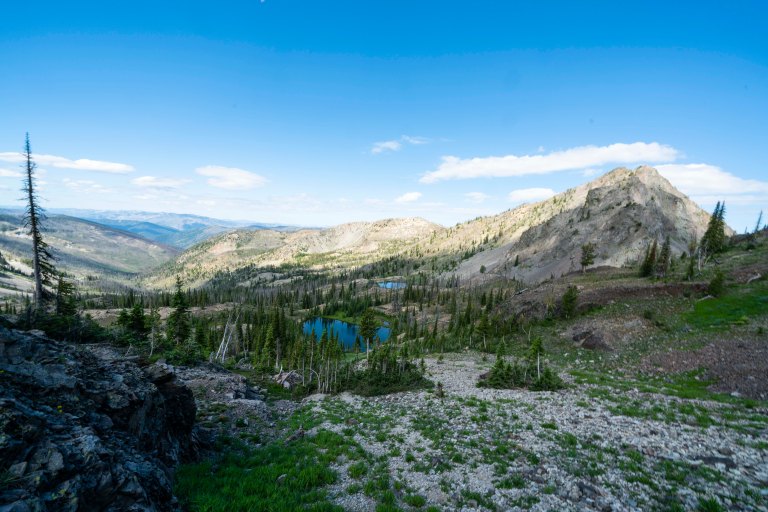 David BeckMcCallDSC06542