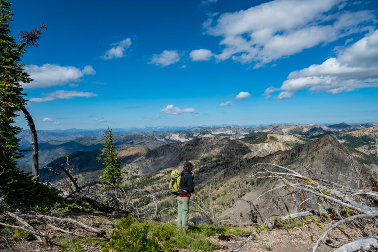 David BeckMcCallDSC06550