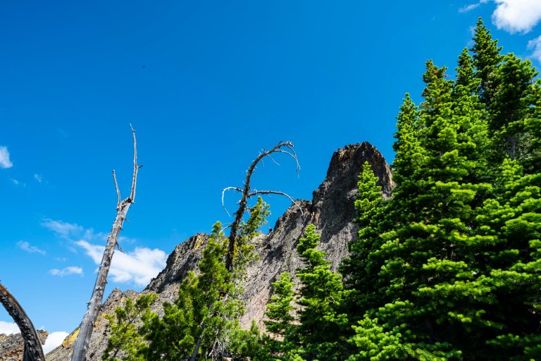 David BeckMcCallDSC06555