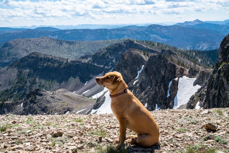 David BeckMcCallDSC06559