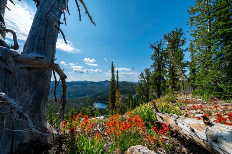 David BeckMcCallDSC06603