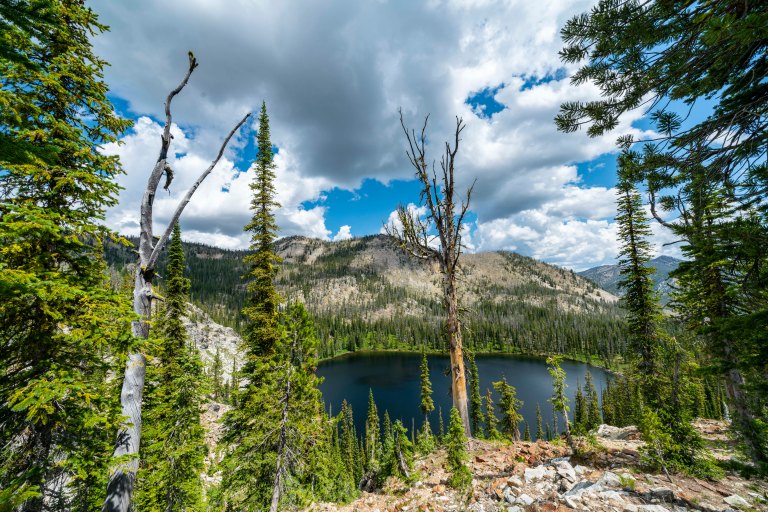 David BeckMcCallDSC06620