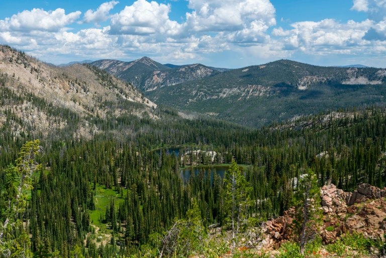 David BeckMcCallDSC06626