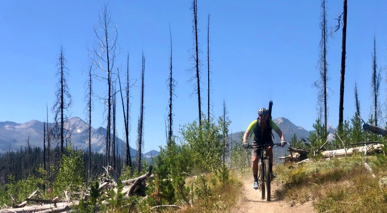 1E171986-6D36-453B-AA77-1E0710F222C8