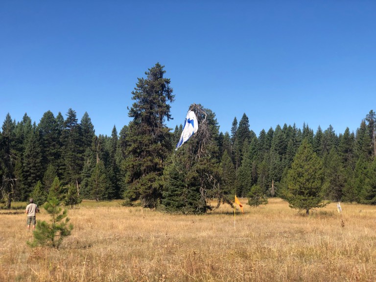 22CAA188-E8F9-4EB6-BF39-D691480B778B