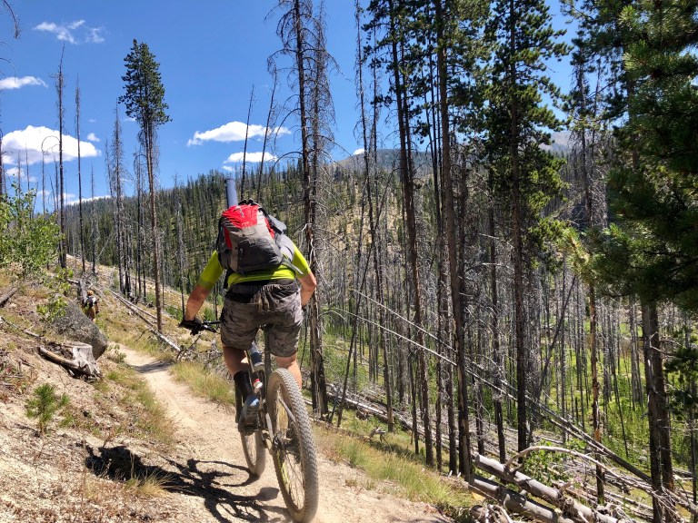 42D91415-7115-477C-BBBE-997DA44BD807