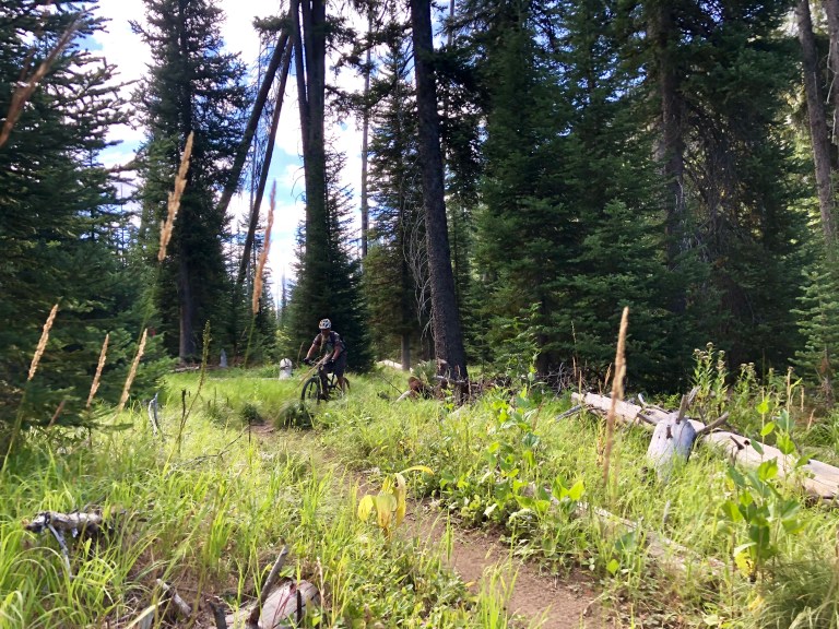 4778D9C9-FCB9-4112-A10A-3F9CF3AD946E