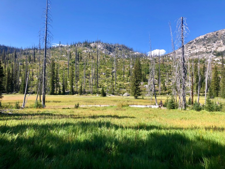 CF2AE8EB-75D7-4DBD-8309-88E924B48FC8