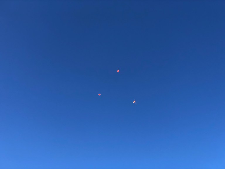 D663538E-AF66-4FCE-9B3E-F4D738D7401B