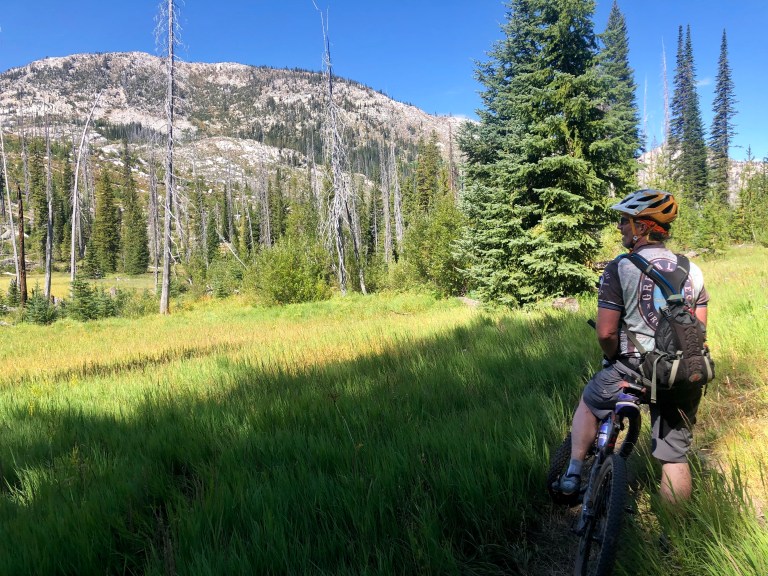 D7A9E5B5-D1C1-4762-A407-A7C4D0CCFC0E