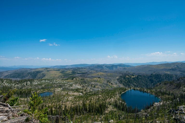 David BeckMcCallDSC06652