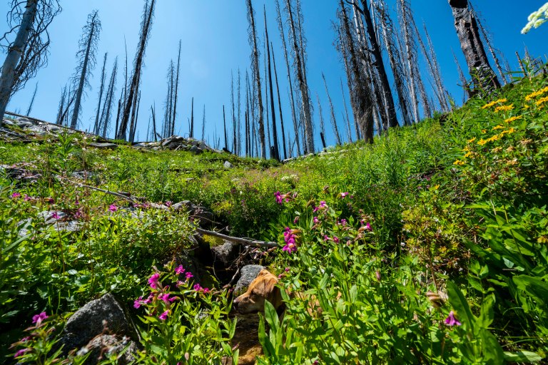 David BeckMcCallDSC06658