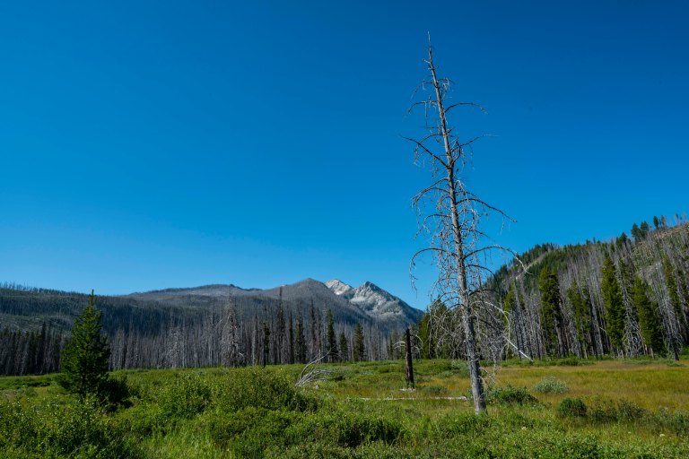 David BeckMcCallDSC06665