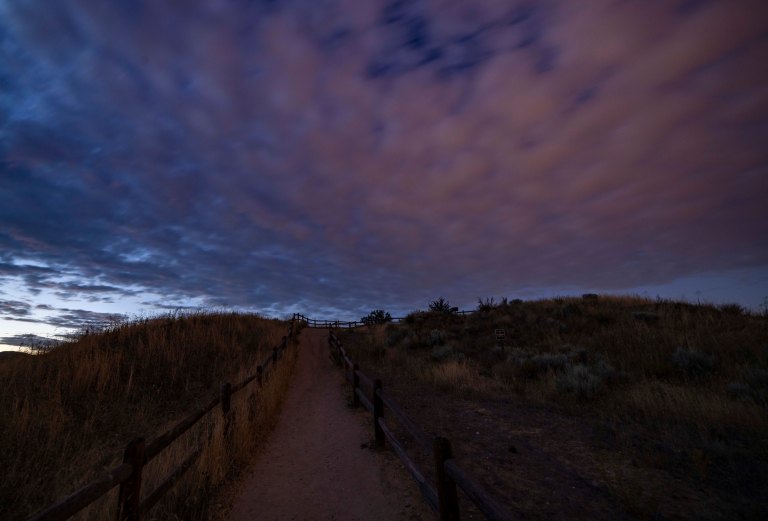 David BeckMcCallDSC06699