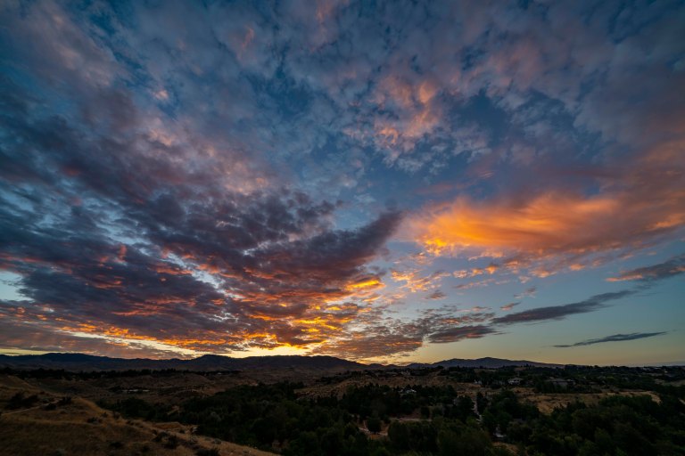 David BeckMcCallDSC06739