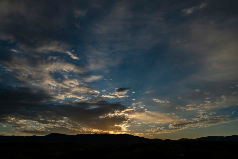 David BeckMcCallDSC06755