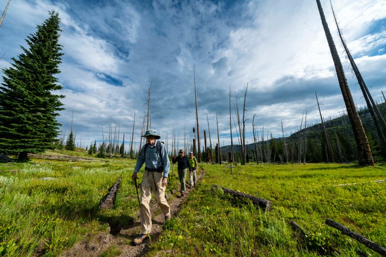 David BeckMcCallDSC06771