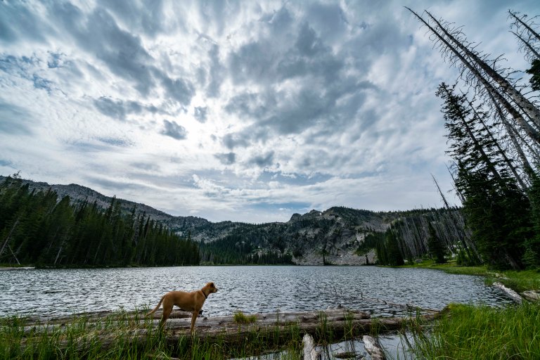 David BeckMcCallDSC06784