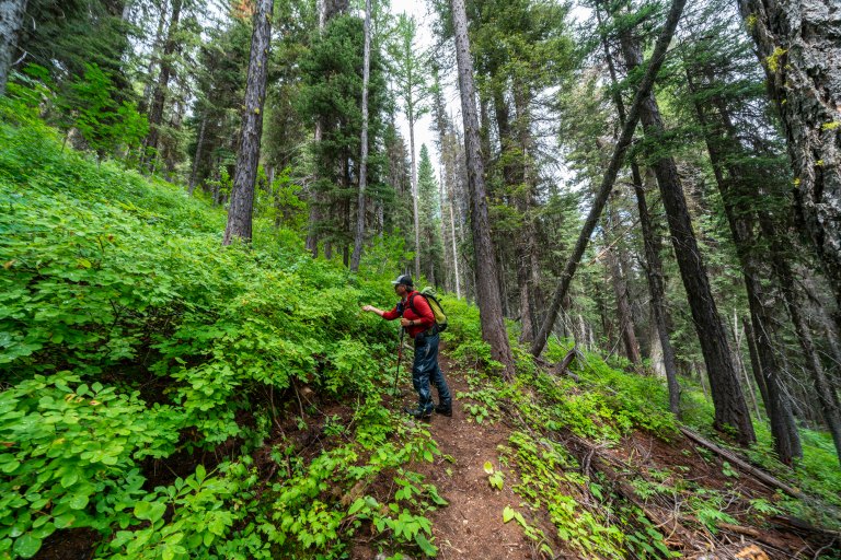 David BeckMcCallDSC06796.jpg