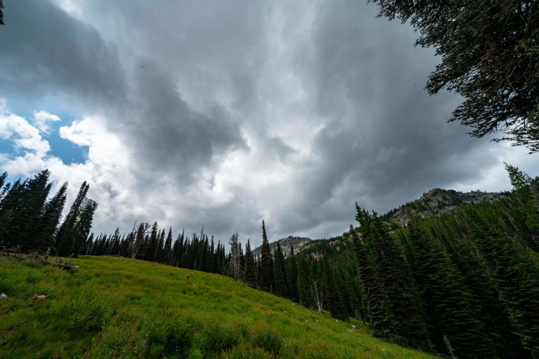 David BeckMcCallDSC06797