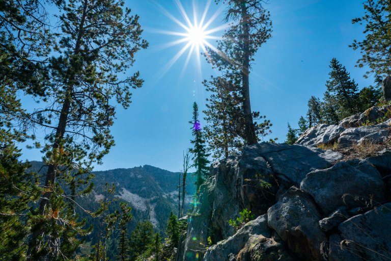 David BeckMcCallDSC06875