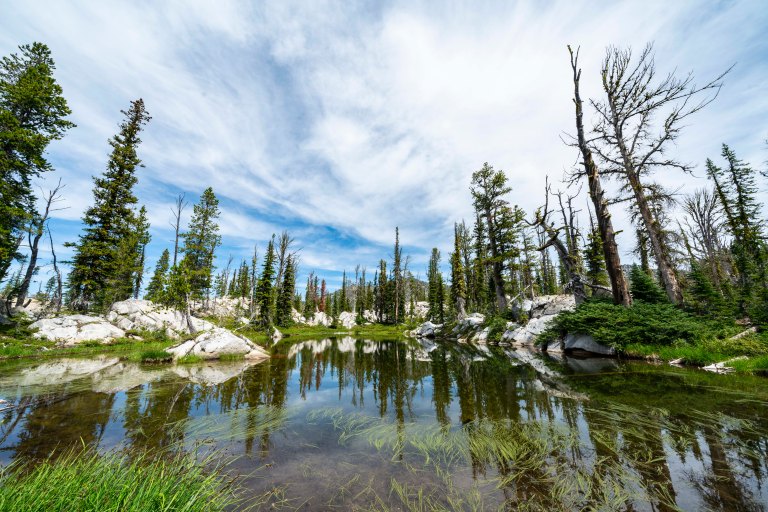 David BeckMcCallDSC06892