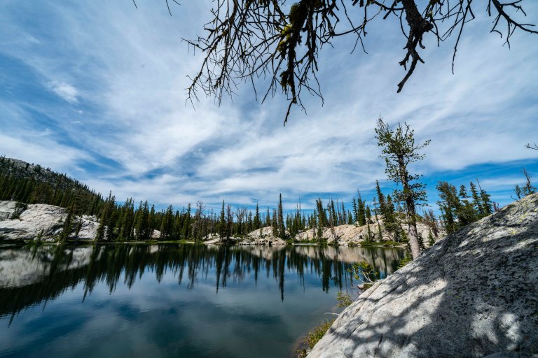 David BeckMcCallDSC06908