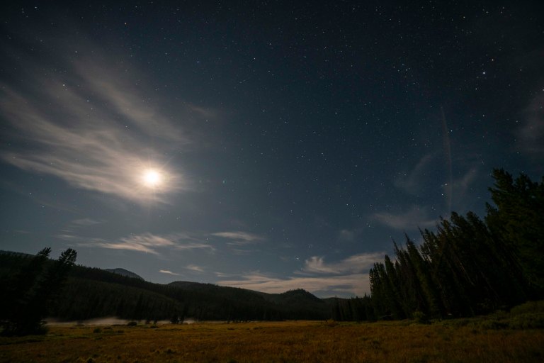 David BeckMcCallDSC06976