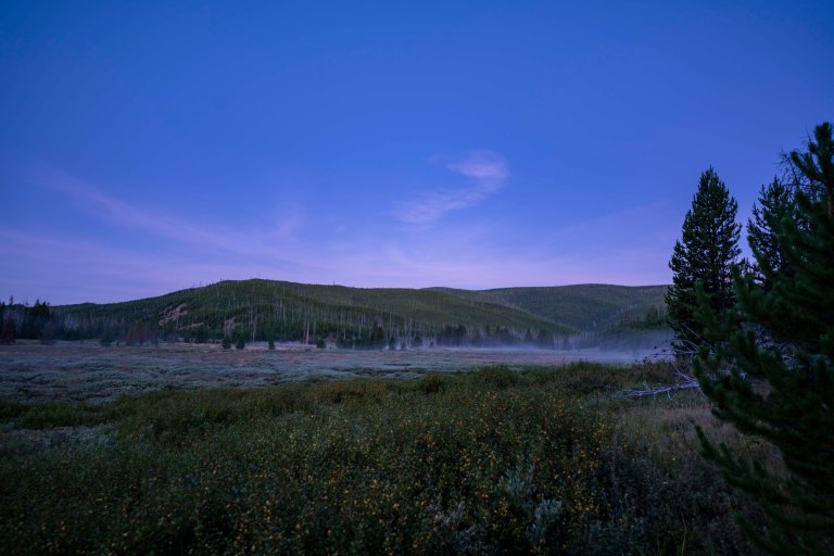 David BeckMcCallDSC07014