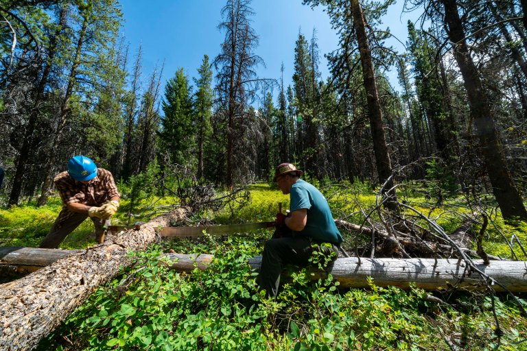 David BeckMcCallDSC07035