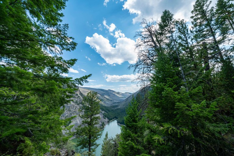 David BeckMcCallDSC07037