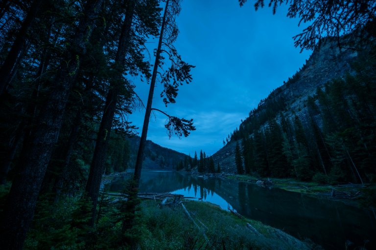 David BeckMcCallDSC07043