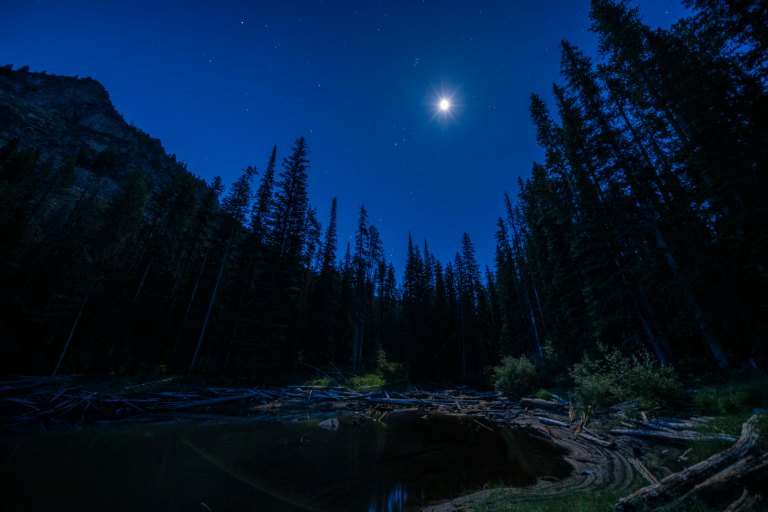 David BeckMcCallDSC07139