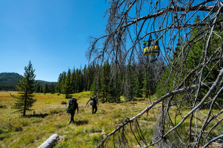 David BeckMcCallDSC07164