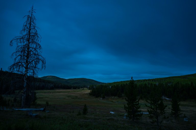 David BeckMcCallDSC07211