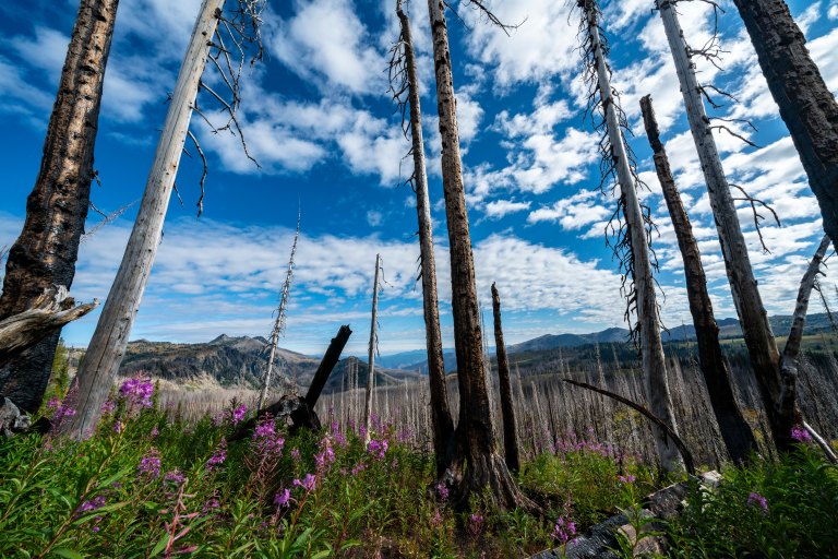 David BeckMcCallDSC07218