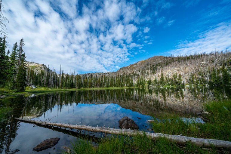 David BeckMcCallDSC07220