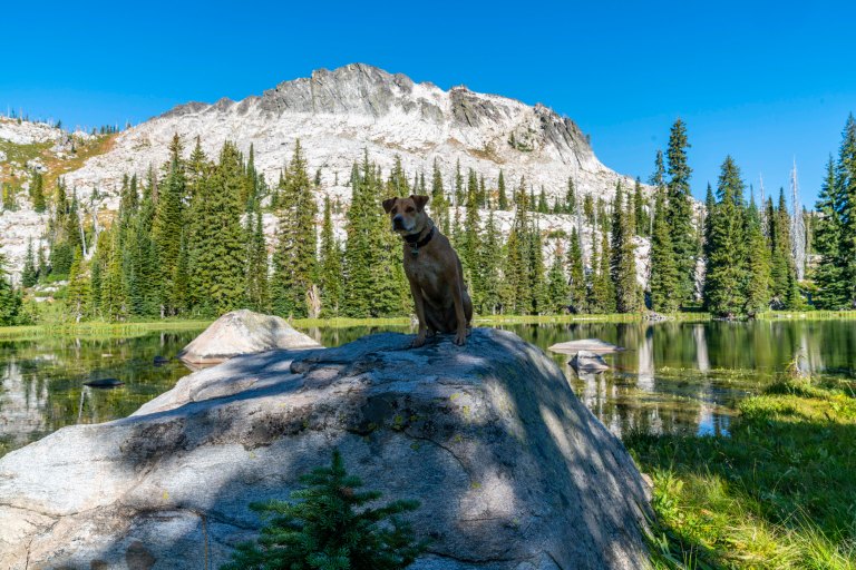 David BeckMcCallDSC07257