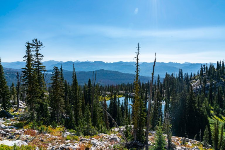 David BeckMcCallDSC07261