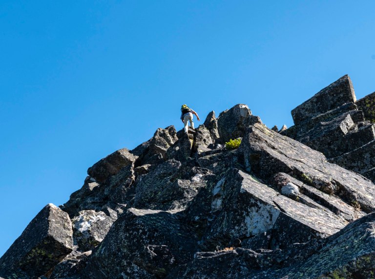 David BeckMcCallDSC07268