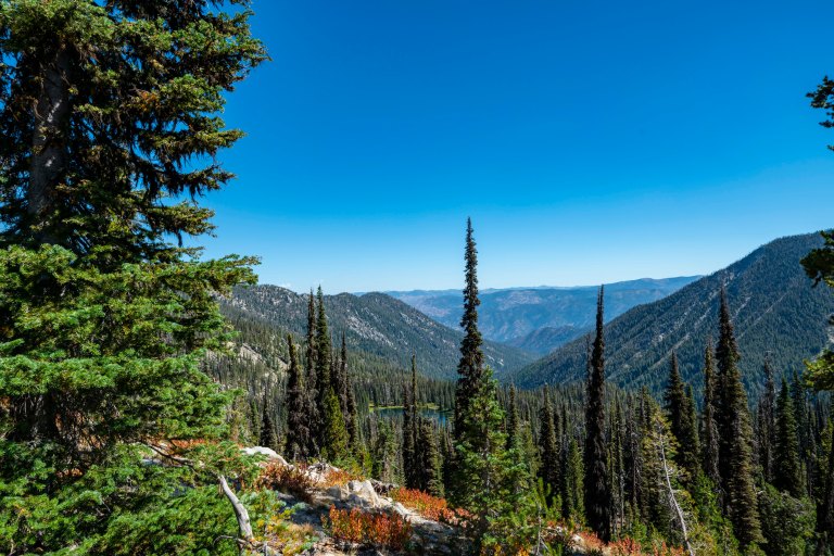 David BeckMcCallDSC07282