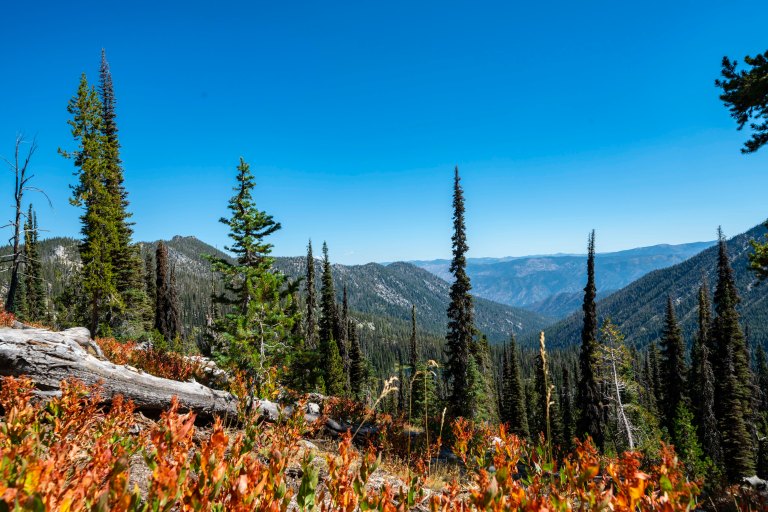 David BeckMcCallDSC07283