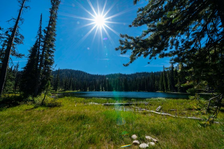 David BeckMcCallDSC07296