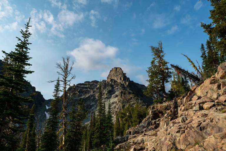 David BeckMcCallDSC07394