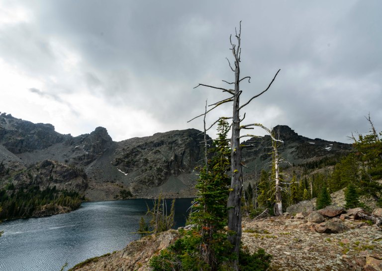 David BeckMcCallDSC07409