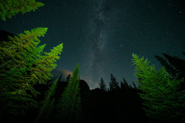 David BeckMcCallDSC07447