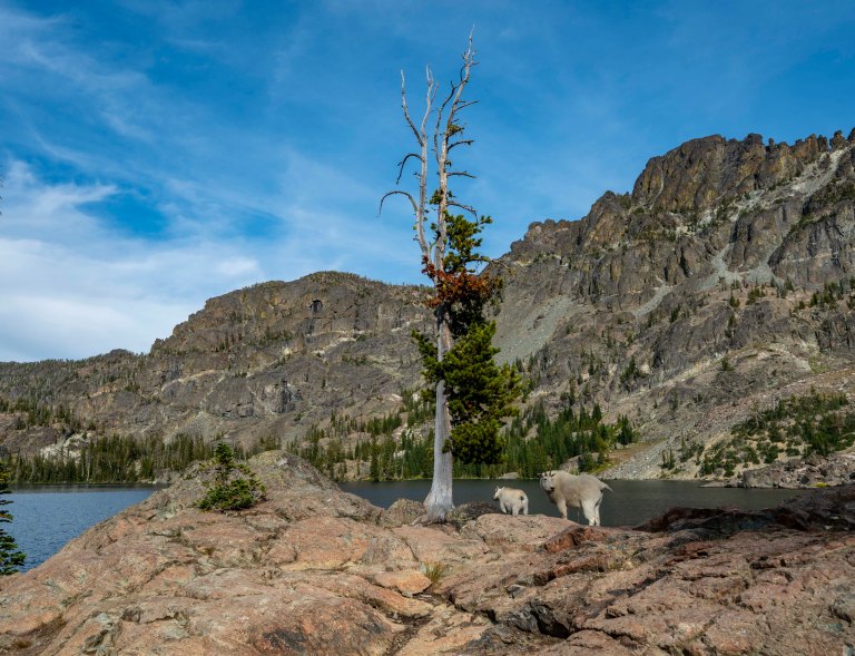 David BeckMcCallDSC07601